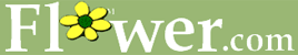 flower.com