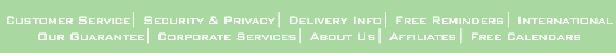 Footer Navigation